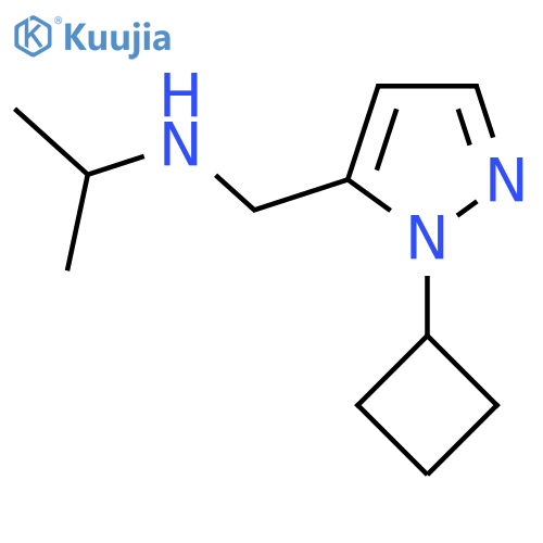[(1-cyclobutyl-1H-pyrazol-5-yl)methyl](propan-2-yl)amine structure