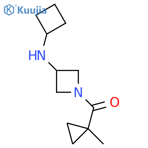 N-cyclobutyl-1-(1-methylcyclopropanecarbonyl)azetidin-3-amine structure
