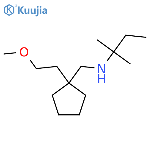 {[1-(2-Methoxyethyl)cyclopentyl]methyl}(2-methylbutan-2-yl)amine structure