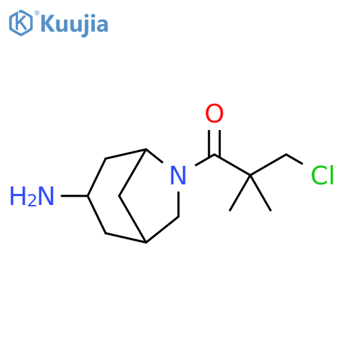 1-Propanone, 1-(3-amino-6-azabicyclo[3.2.1]oct-6-yl)-2-(chloromethyl)-2-methyl- structure