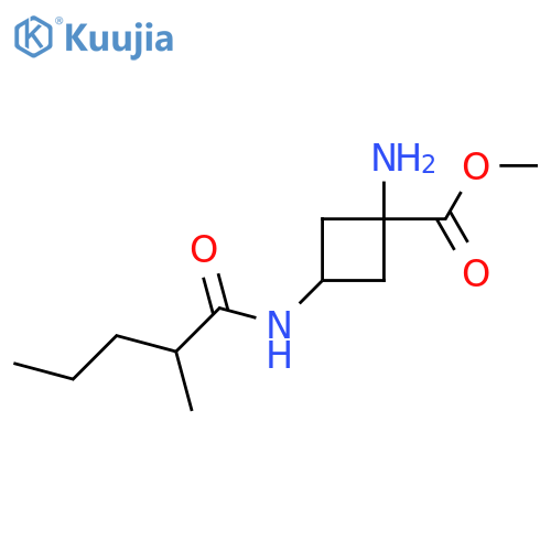 Methyl 1-amino-3-(2-methylpentanamido)cyclobutane-1-carboxylate structure