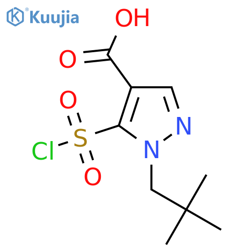 5-(chlorosulfonyl)-1-(2,2-dimethylpropyl)-1H-pyrazole-4-carboxylic acid structure