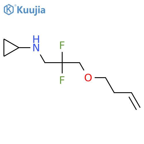 N-[3-(but-3-en-1-yloxy)-2,2-difluoropropyl]cyclopropanamine structure