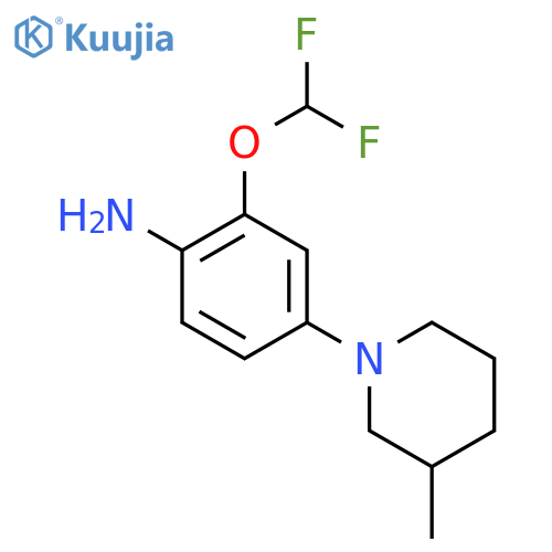 2-(Difluoromethoxy)-4-(3-methylpiperidin-1-yl)aniline structure