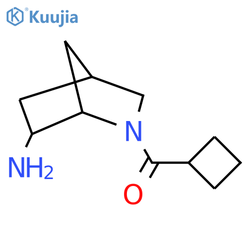 2-Cyclobutanecarbonyl-2-azabicyclo[2.2.1]heptan-6-amine structure
