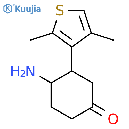4-Amino-3-(2,4-dimethylthiophen-3-yl)cyclohexan-1-one structure