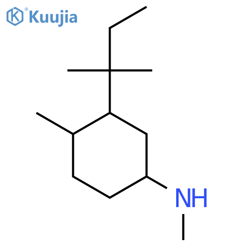 N,4-dimethyl-3-(2-methylbutan-2-yl)cyclohexan-1-amine structure