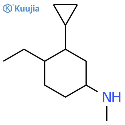 3-cyclopropyl-4-ethyl-N-methylcyclohexan-1-amine structure