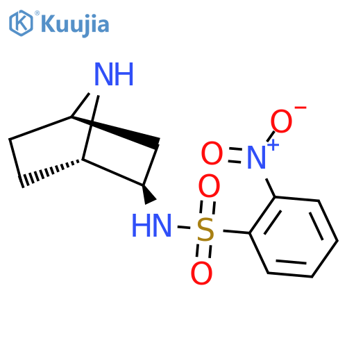 rac-N-(1R,2S,4S)-7-azabicyclo2.2.1heptan-2-yl-2-nitrobenzene-1-sulfonamide structure
