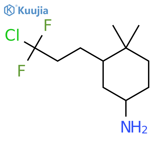 3-(3-Chloro-3,3-difluoropropyl)-4,4-dimethylcyclohexan-1-amine structure