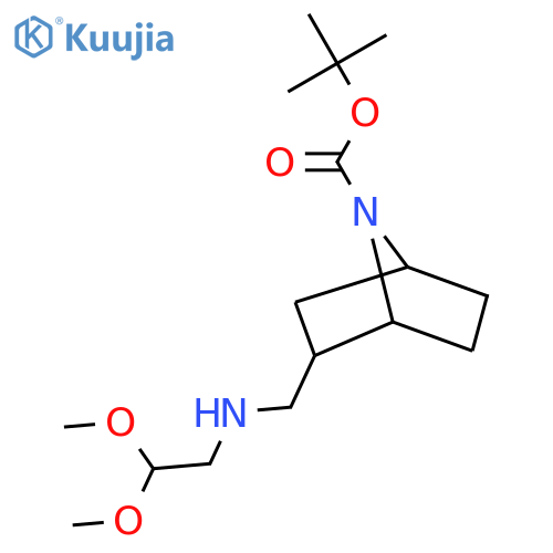 tert-butyl 2-{(2,2-dimethoxyethyl)aminomethyl}-7-azabicyclo2.2.1heptane-7-carboxylate structure