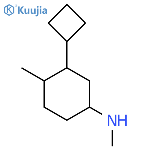 3-cyclobutyl-N,4-dimethylcyclohexan-1-amine structure
