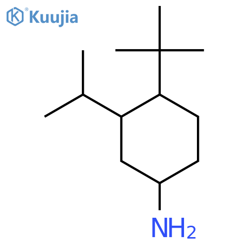4-Tert-butyl-3-(propan-2-yl)cyclohexan-1-amine structure