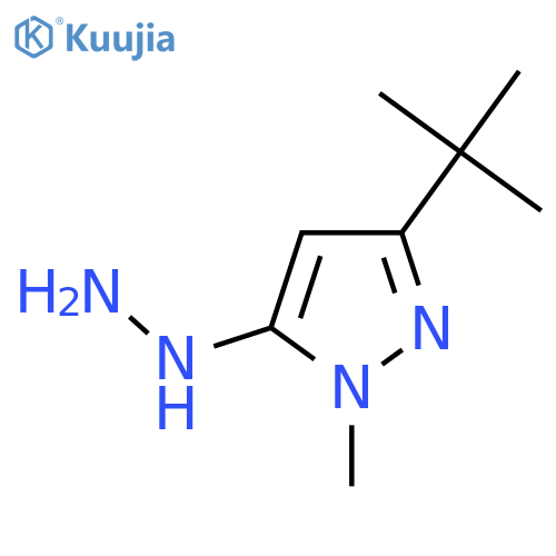 3-tert-butyl-5-hydrazinyl-1-methyl-1H-pyrazole structure