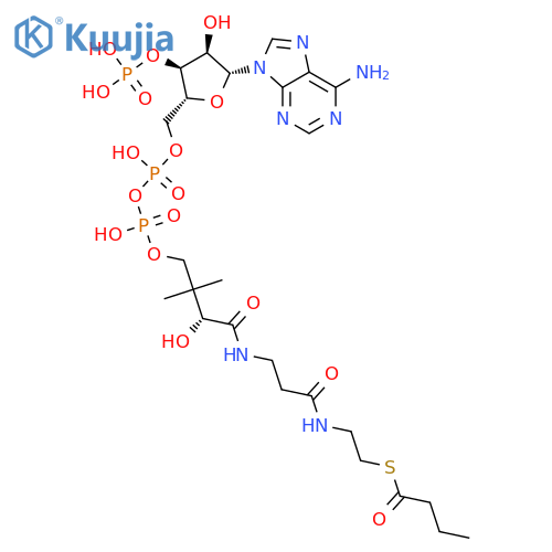 Coenzyme A, S-butanoate structure