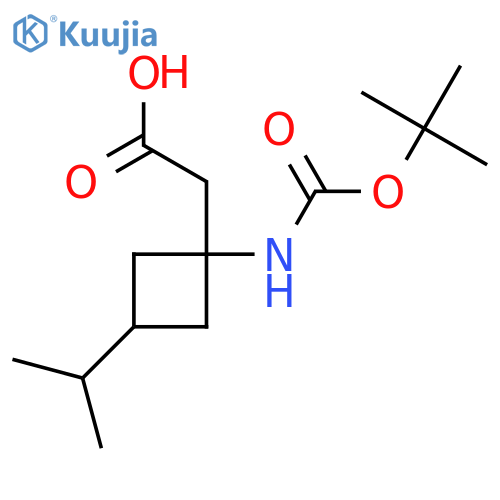 2-(1-{(tert-butoxy)carbonylamino}-3-(propan-2-yl)cyclobutyl)acetic acid structure