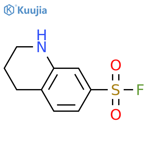 1,2,3,4-Tetrahydroquinoline-7-sulfonyl fluoride structure