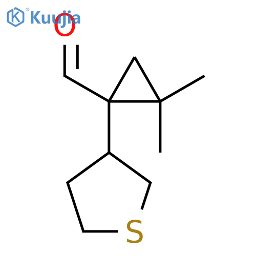 2,2-dimethyl-1-(thiolan-3-yl)cyclopropane-1-carbaldehyde structure