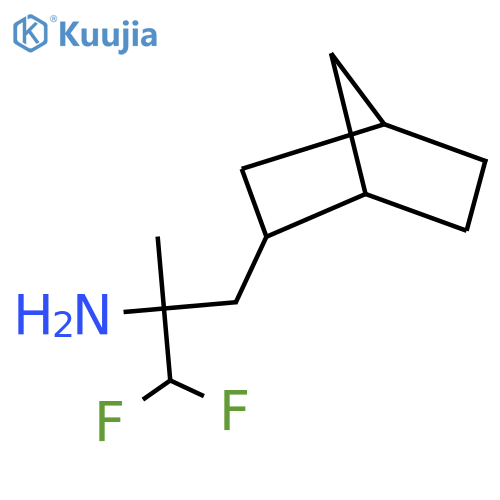 3-{bicyclo2.2.1heptan-2-yl}-1,1-difluoro-2-methylpropan-2-amine structure