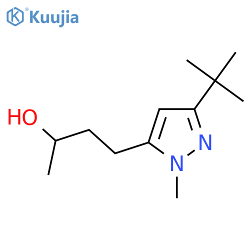 4-(3-tert-butyl-1-methyl-1H-pyrazol-5-yl)butan-2-ol structure