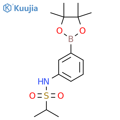 N-[3-(4,4,5,5-Tetramethyl-1,3,2-dioxaborolan-2-yl)phenyl]propane-2-sulfonamide structure