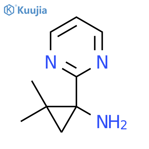 2,2-dimethyl-1-(pyrimidin-2-yl)cyclopropan-1-amine structure