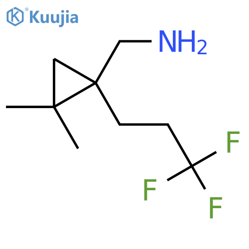 2,2-dimethyl-1-(3,3,3-trifluoropropyl)cyclopropylmethanamine structure