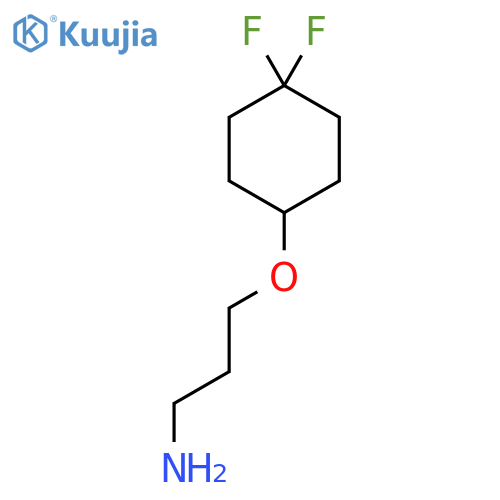 3-(4,4-difluorocyclohexyl)oxypropan-1-amine structure