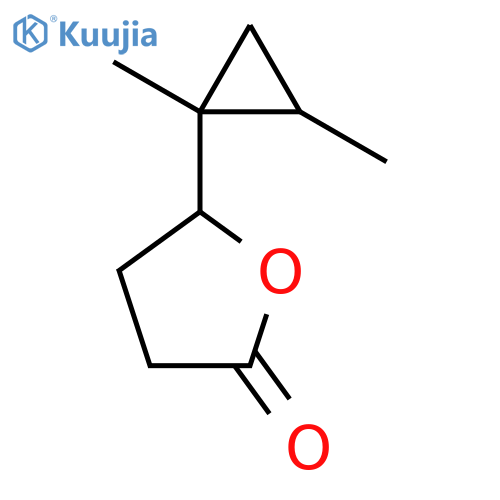 5-(1,2-dimethylcyclopropyl)oxolan-2-one structure