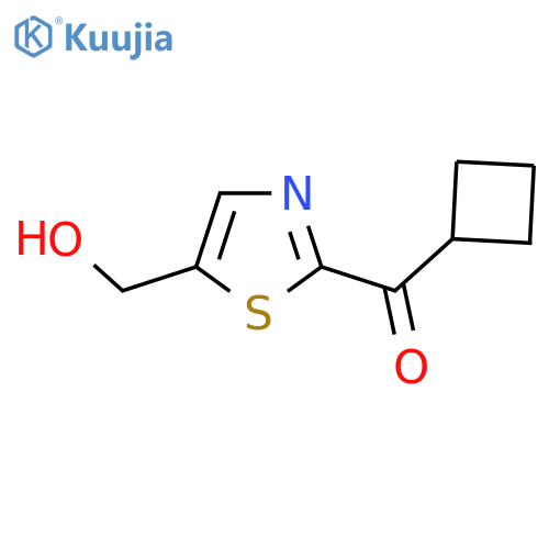 (2-cyclobutanecarbonyl-1,3-thiazol-5-yl)methanol structure