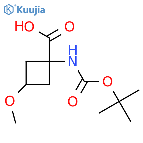 trans-1-(tert-butoxycarbonylamino)-3-methoxy-cyclobutanecarboxylic acid structure