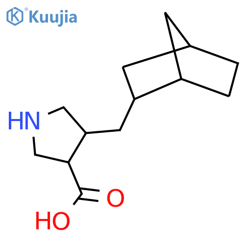 4-({bicyclo2.2.1heptan-2-yl}methyl)pyrrolidine-3-carboxylic acid structure