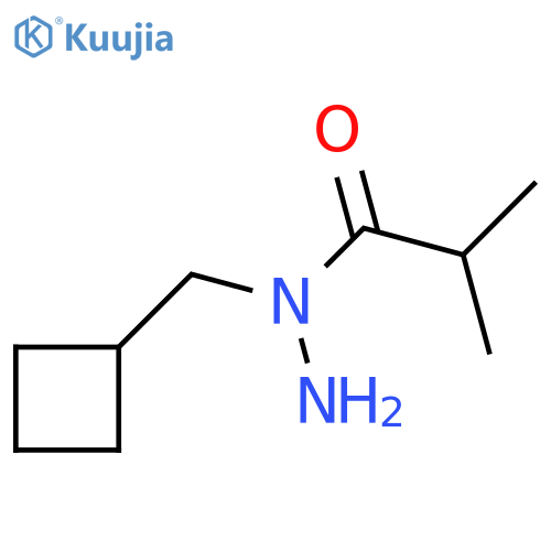 N-(cyclobutylmethyl)-2-methylpropanehydrazide structure
