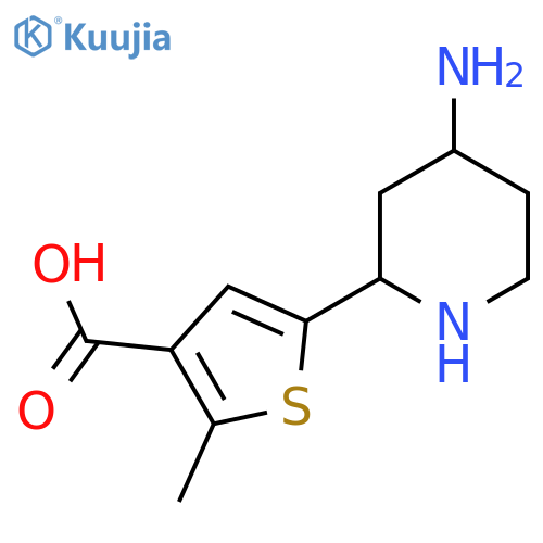 5-(4-aminopiperidin-2-yl)-2-methylthiophene-3-carboxylic acid structure