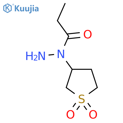 N-(1,1-dioxo-1lambda6-thiolan-3-yl)propanehydrazide structure