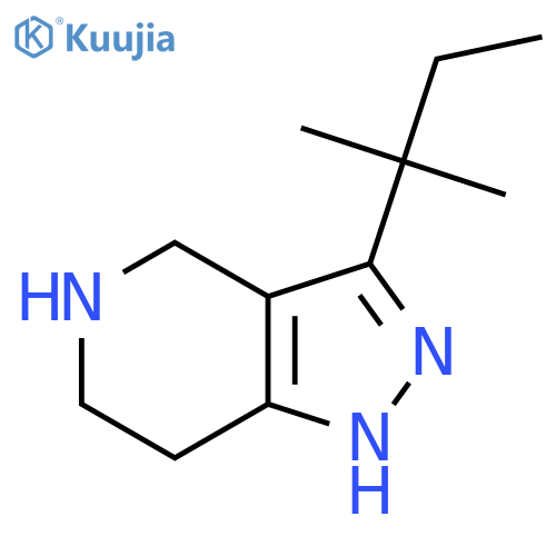 3-(2-methylbutan-2-yl)-2H,4H,5H,6H,7H-pyrazolo4,3-cpyridine structure
