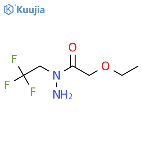 2-ethoxy-N-(2,2,2-trifluoroethyl)acetohydrazide structure