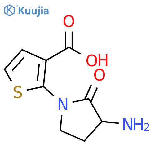 2-(3-amino-2-oxopyrrolidin-1-yl)thiophene-3-carboxylic acid structure