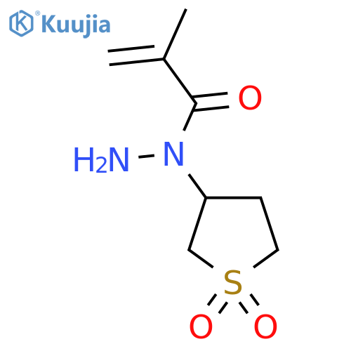 N-(1,1-dioxo-1lambda6-thiolan-3-yl)-2-methylprop-2-enehydrazide structure