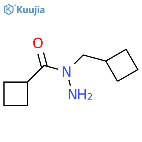 N-(cyclobutylmethyl)cyclobutanecarbohydrazide structure