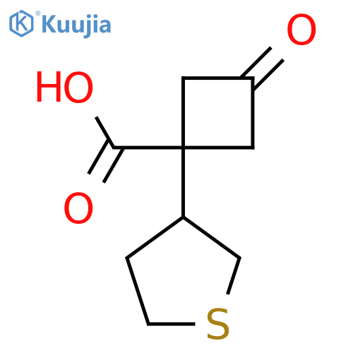 3-oxo-1-(thiolan-3-yl)cyclobutane-1-carboxylic acid structure