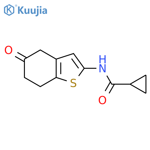 N-(5-oxo-4,5,6,7-tetrahydro-1-benzothiophen-2-yl)cyclopropanecarboxamide structure