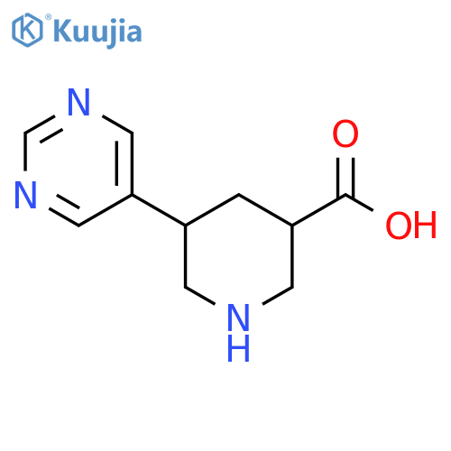5-(pyrimidin-5-yl)piperidine-3-carboxylic acid structure