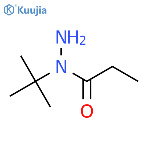 N-tert-butylpropanehydrazide structure