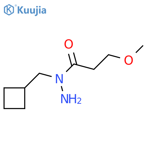 N-(cyclobutylmethyl)-3-methoxypropanehydrazide structure