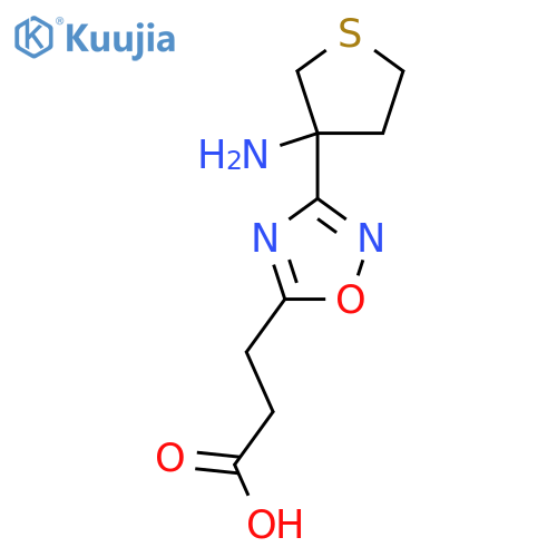 3-3-(3-aminothiolan-3-yl)-1,2,4-oxadiazol-5-ylpropanoic acid structure