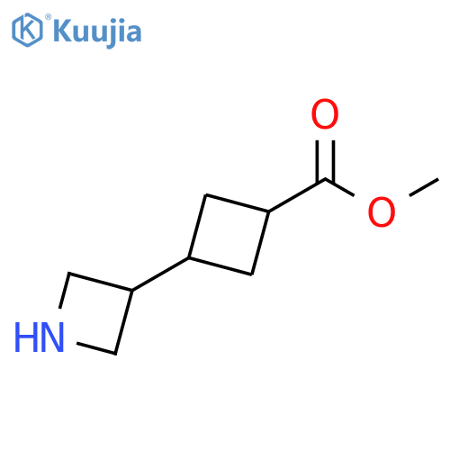methyl 3-(azetidin-3-yl)cyclobutane-1-carboxylate structure