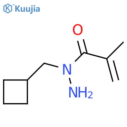 N-(cyclobutylmethyl)-2-methylprop-2-enehydrazide structure