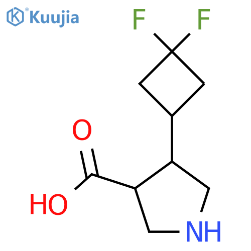 4-(3,3-Difluorocyclobutyl)pyrrolidine-3-carboxylic acid structure