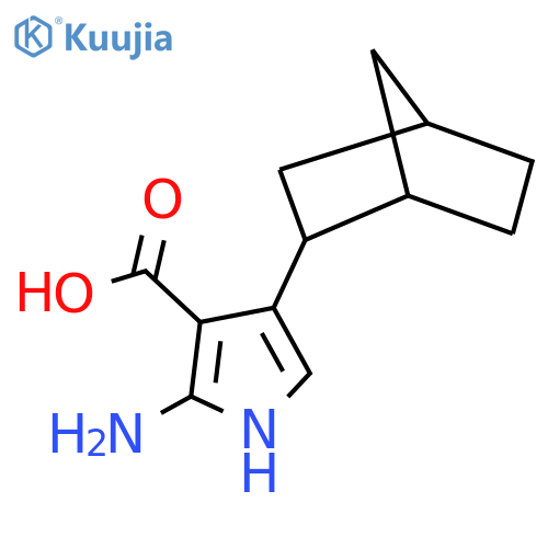2-amino-4-{bicyclo2.2.1heptan-2-yl}-1H-pyrrole-3-carboxylic acid structure